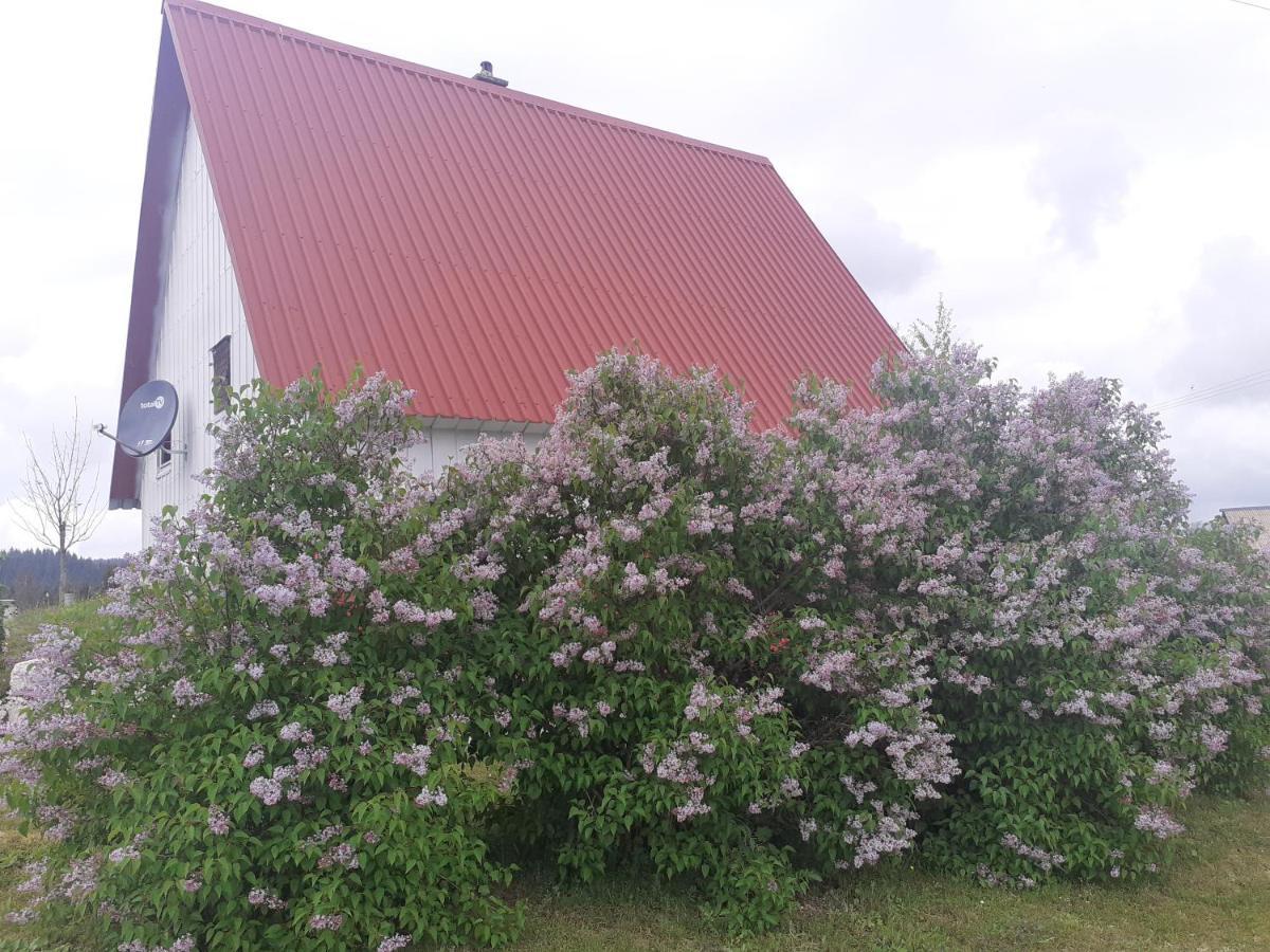Zabljak Izdavanje Kuce Εξωτερικό φωτογραφία